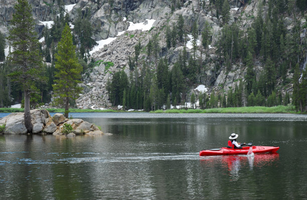 柔软的桨图片下载