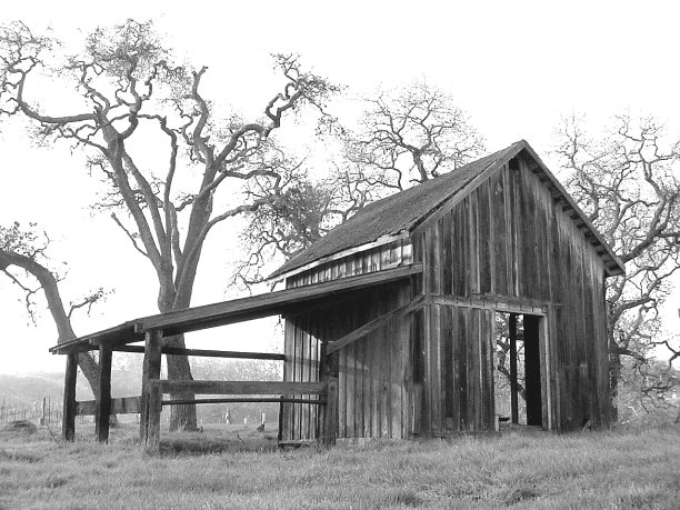 日出稳定图片下载