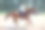 夏天骑师和马图片下载