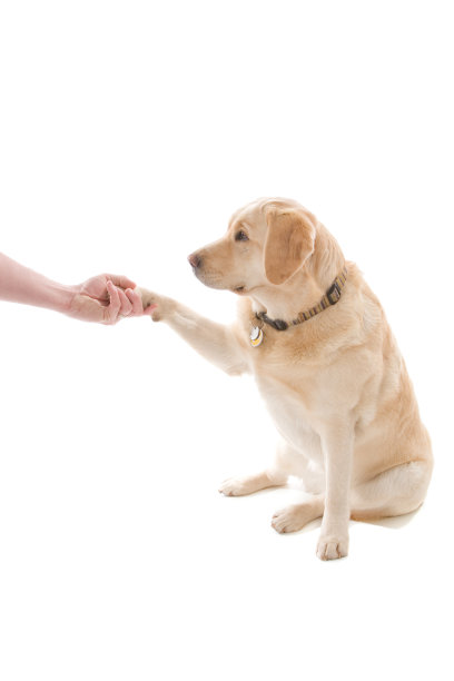 很高兴认识你…图片下载