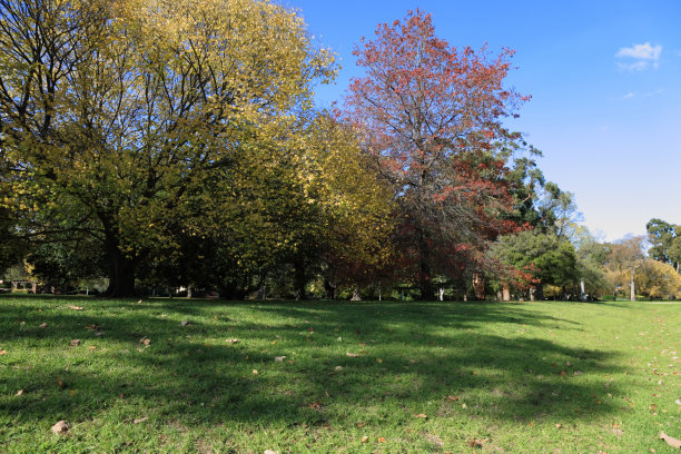 秋天的颜色图片下载