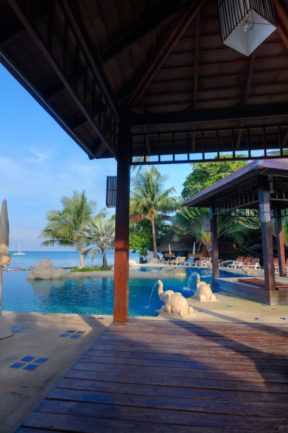 美丽的度假胜地池图片下载