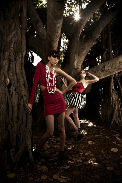 红粉佳人图片下载