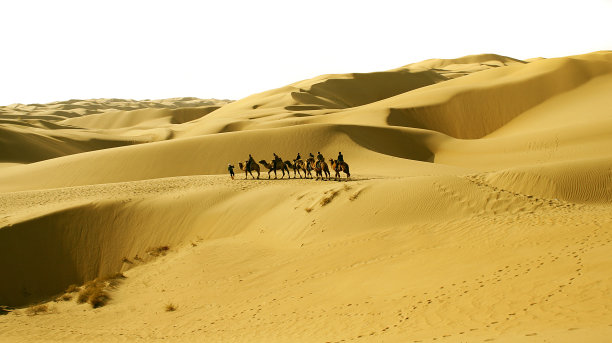 沙漠行军图片下载