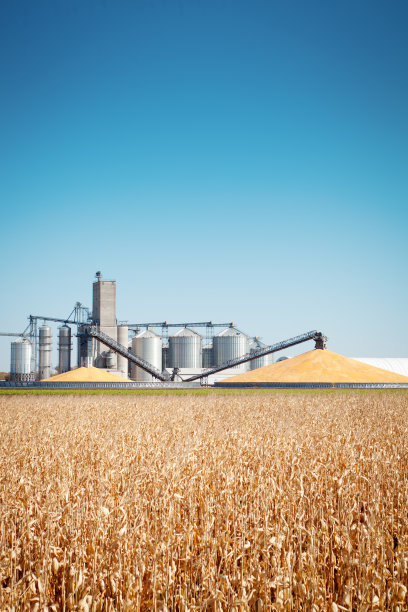 秋季玉米收获及加工筒仓图片下载