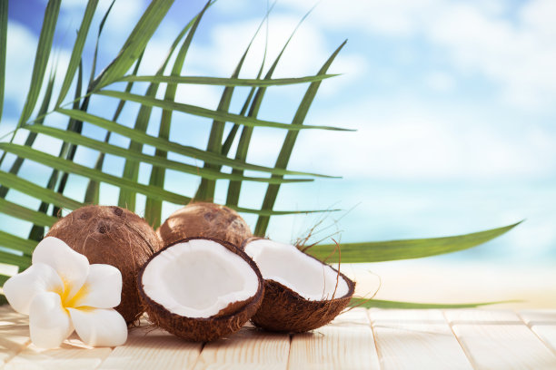 海滩上的椰子和复印空间图片下载