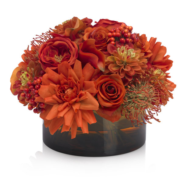 鲜艳的秋花在白色的背景上图片下载