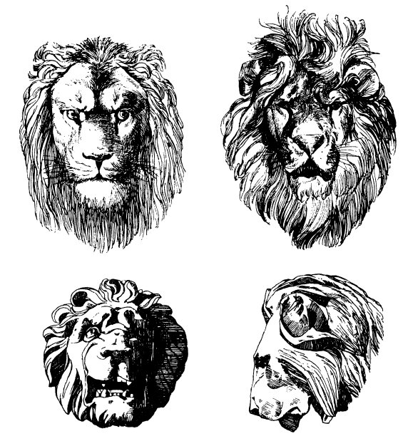 狮头套装图片下载