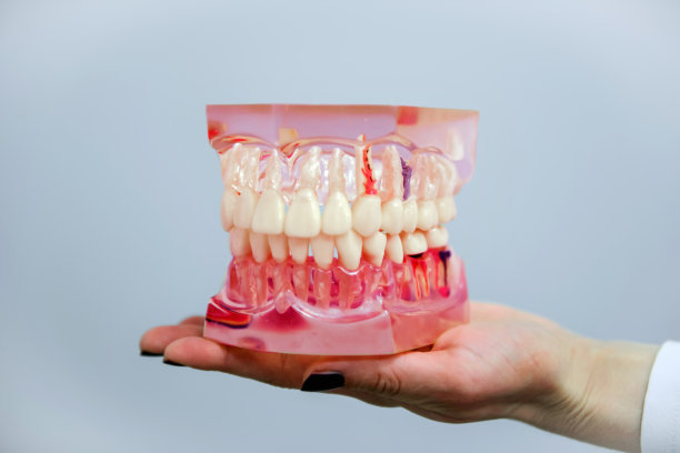 塑料牙齿模型图片下载