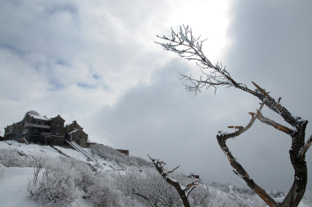 泰山在雪中图片下载