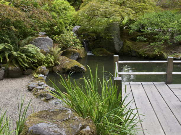 瀑布池塘木材步道小径树木俄勒冈州波特兰日本花园图片下载