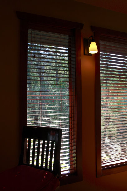 Inside My Craftsman平房Looking Outside图片下载