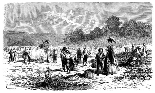 农民工作的古董插图图片下载