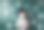 男孩用平板电脑图片下载