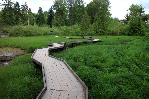 徒步旅行木板路图片下载