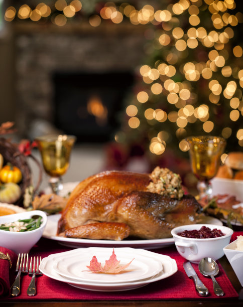 感恩节优雅的节日火鸡晚餐图片下载