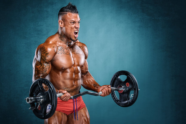 杠铃肱二头肌弯曲图片下载