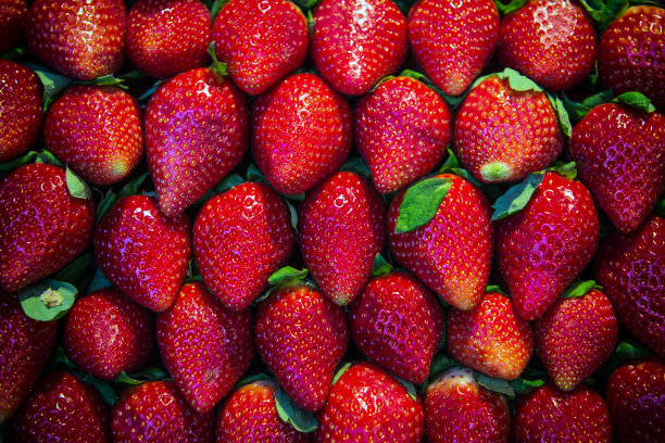 草莓——背景图片下载