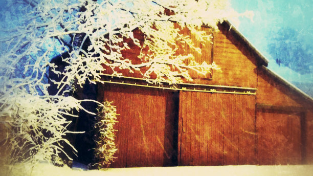 红色的冬季谷仓和白雪覆盖的树木图片下载