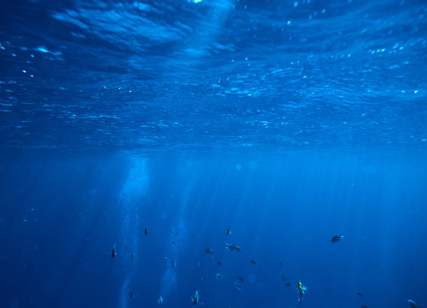 神奇的水下背景素材图片