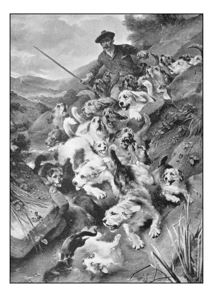 古董画照片:栓水獭图片下载