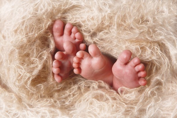 刚出生的双胞胎的脚图片下载