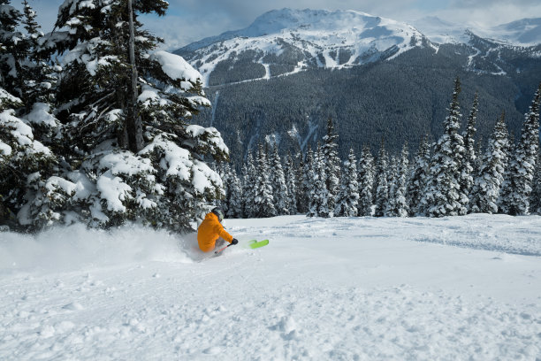滑雪新鲜粉图片下载