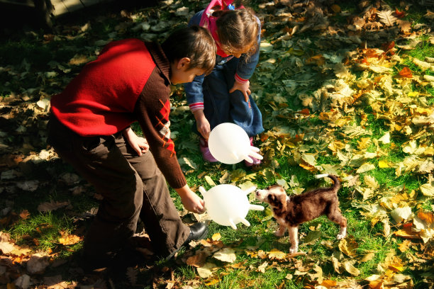 孩子们和小狗玩耍图片下载