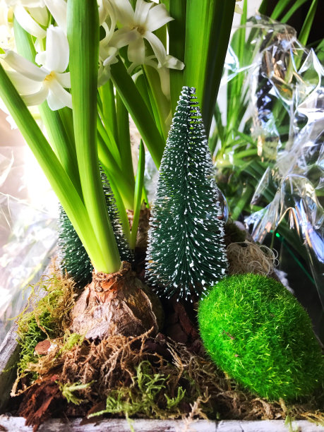 花组成图片下载