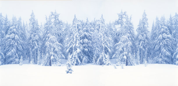 喀斯喀特山脉国家公园，OR(P)图片下载