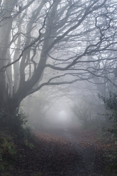 狩猎森林图片下载