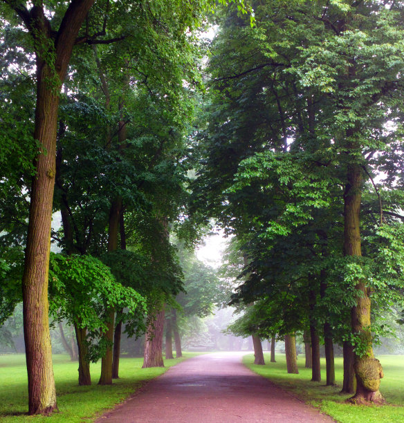 公园。图片下载