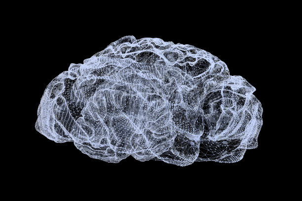 数字人脑图片下载