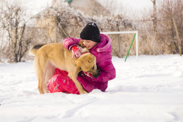 冬天，孩子和狗坐在雪地上的照片图片下载