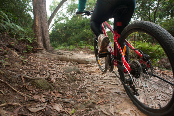 人们在森林小径上骑车图片下载