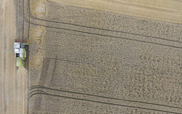 田间联合收割机图片下载