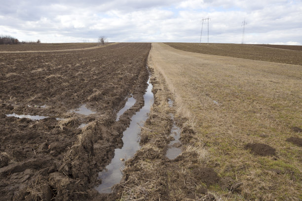 在冬末冰雪融化后，耕地和草地变得潮湿图片下载