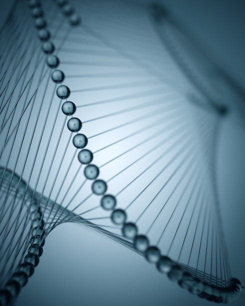 医学插画素材ID：147458800