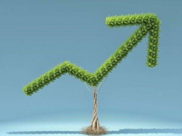 绿色植物箭头图图片下载