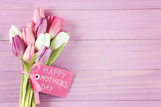 母亲节图片素材ID：147463474