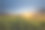 夕阳图片素材ID：147479008