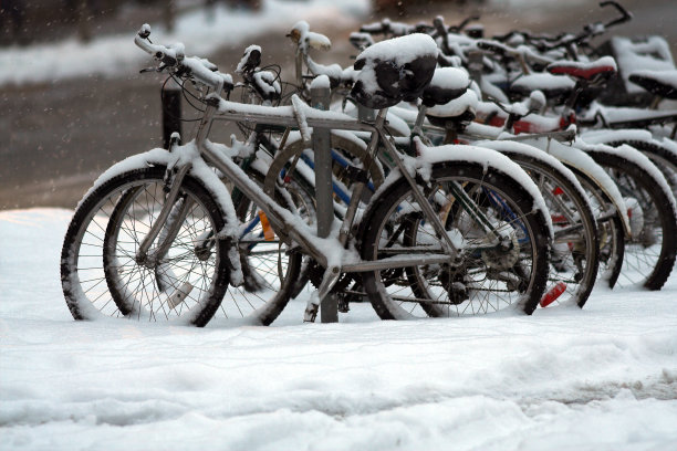 自行车停在图片下载