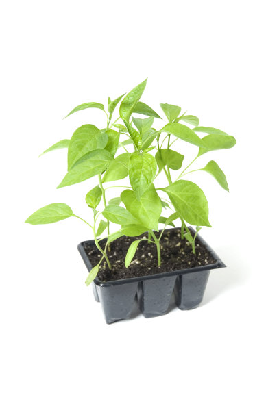 新工厂图片下载