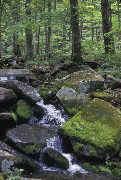 烟雾缭绕的山涧图片下载