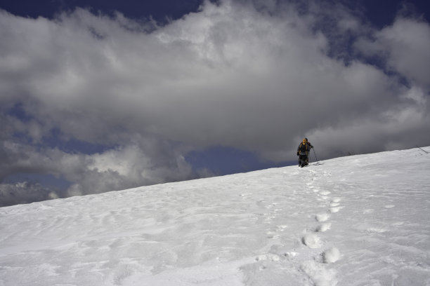 走在雪图片下载