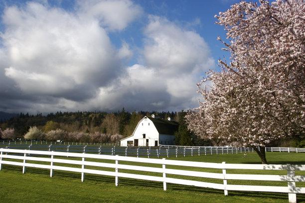 乡间的春景图片下载