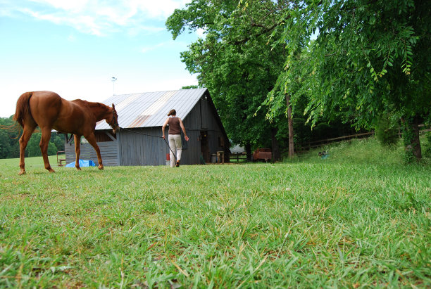 马走向谷仓图片下载