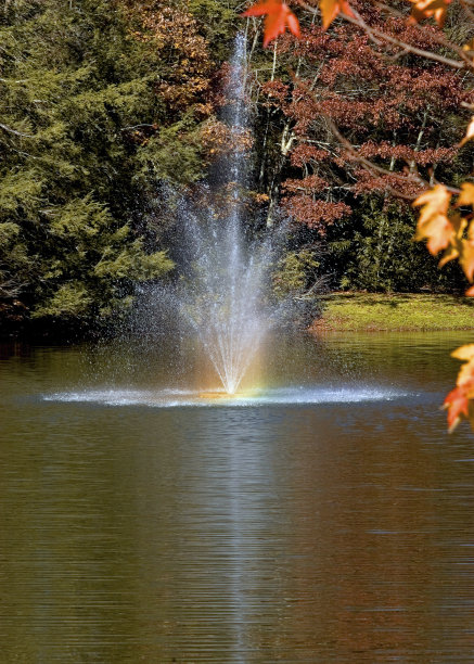 喷泉和彩虹图片下载