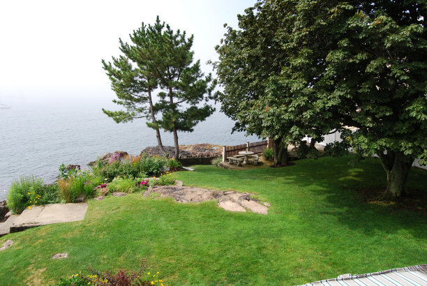 后院的海洋图片下载