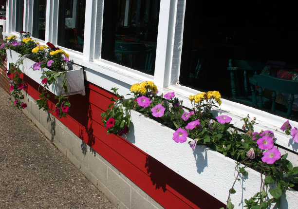 花坛(窗盒)图片下载